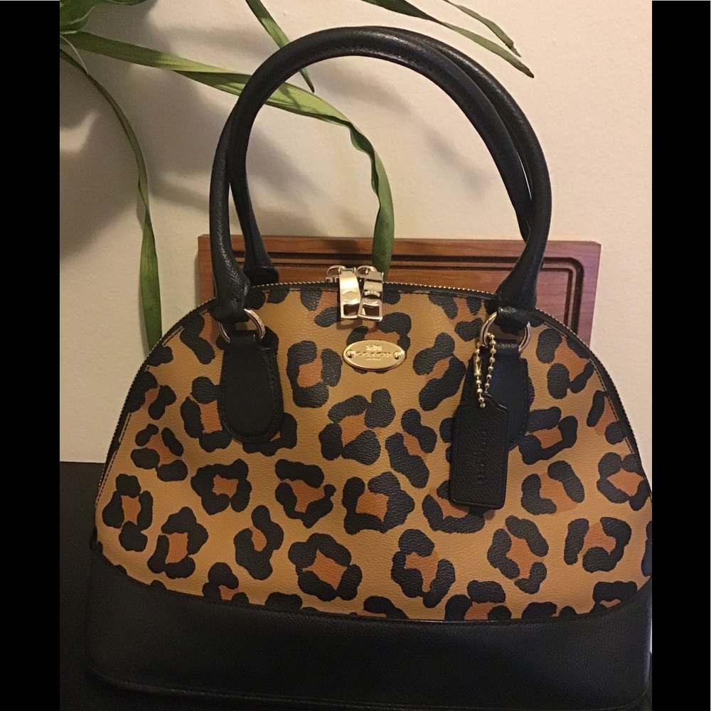 Coach bag.